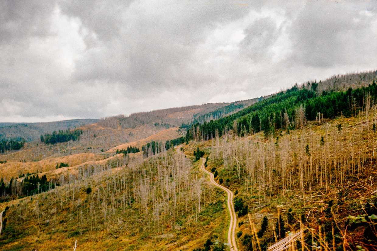 Harz Gravel – JKF01777-positive.jpg