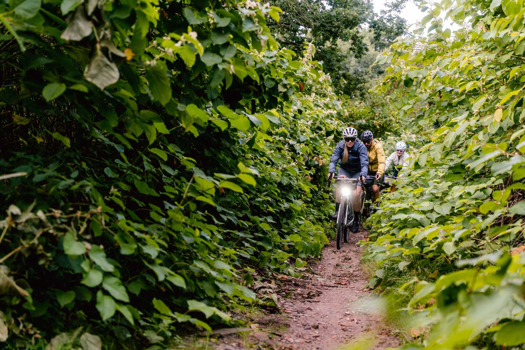 Stevens Gavere – JKF00284.jpg