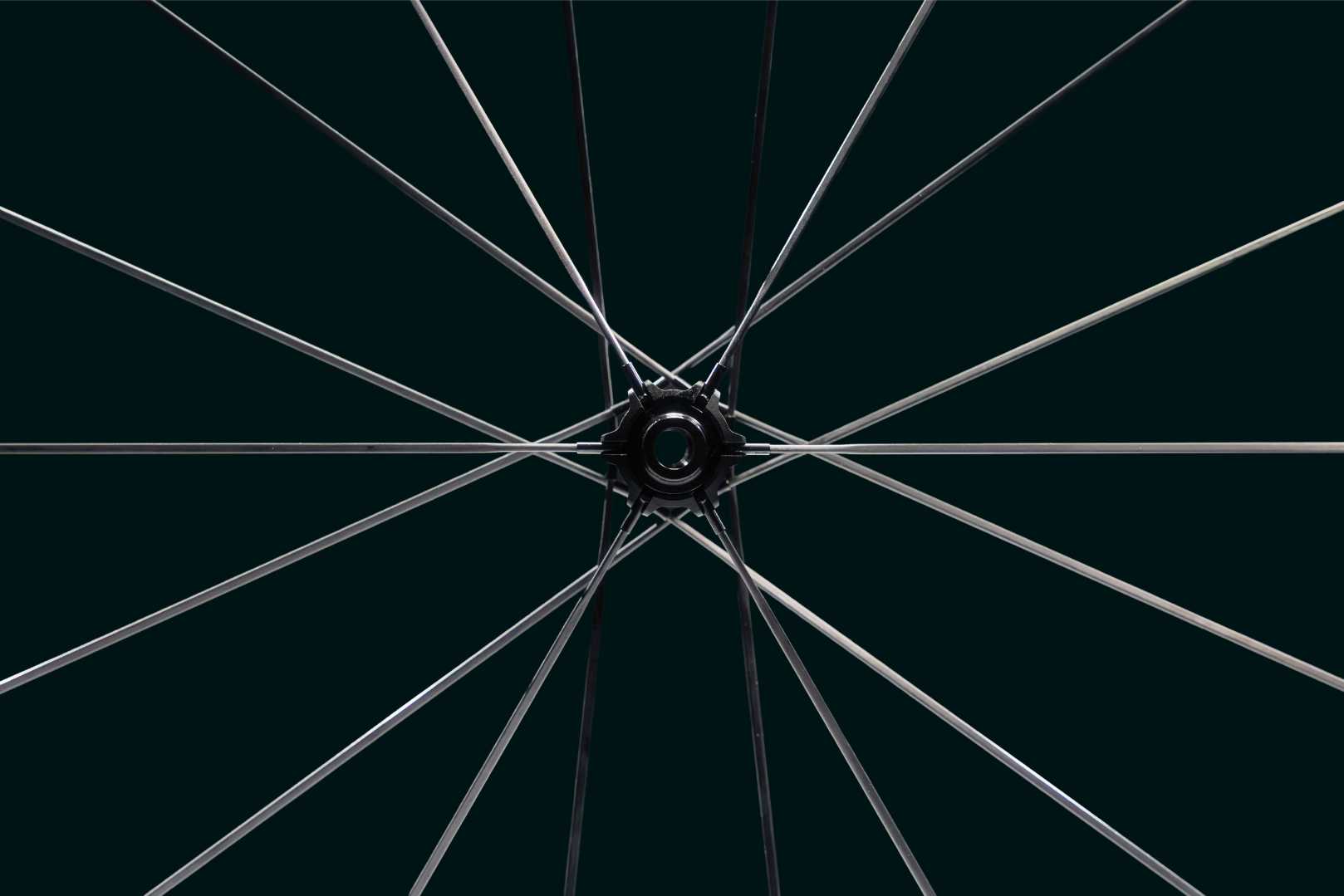 Leeze PRO Laufrad Launch – 03_Speiche_Nabe.jpg