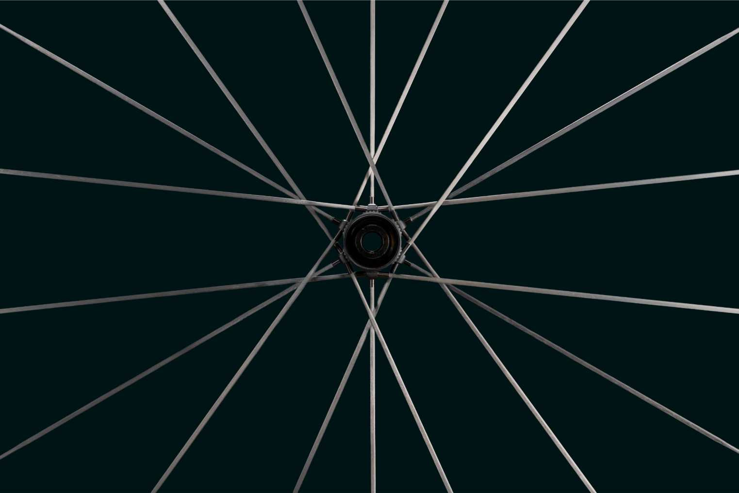 Leeze PRO Laufrad Launch – JKF05156-Bearbeitet_Nabe_Speichen.jpg