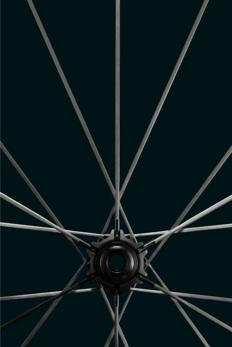 Leeze PRO Laufrad Launch – JKF05162-Bearbeitet_Speichen_Close_Up.jpg