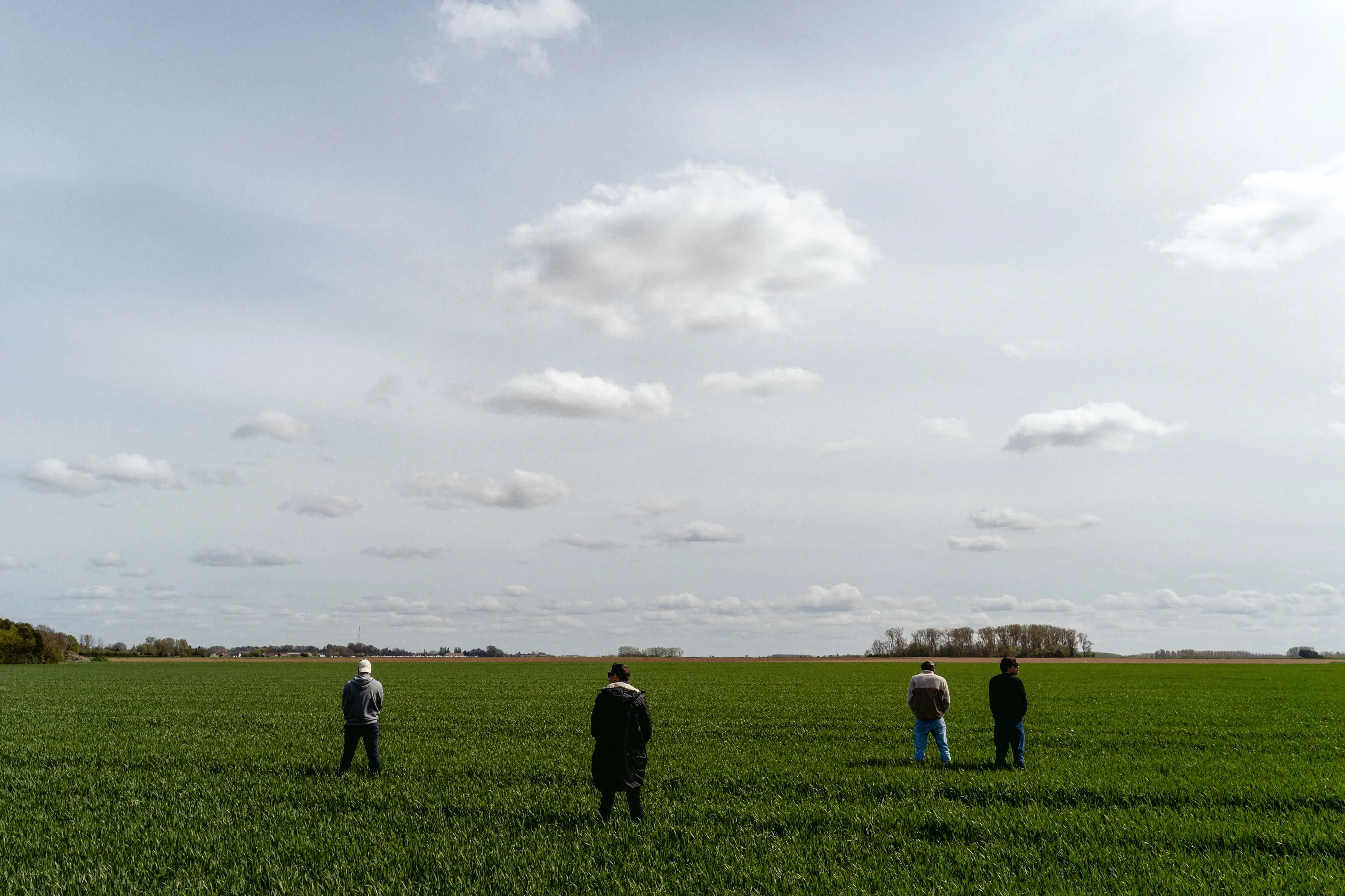 Spectators relieving themselves in the potato field beside the course