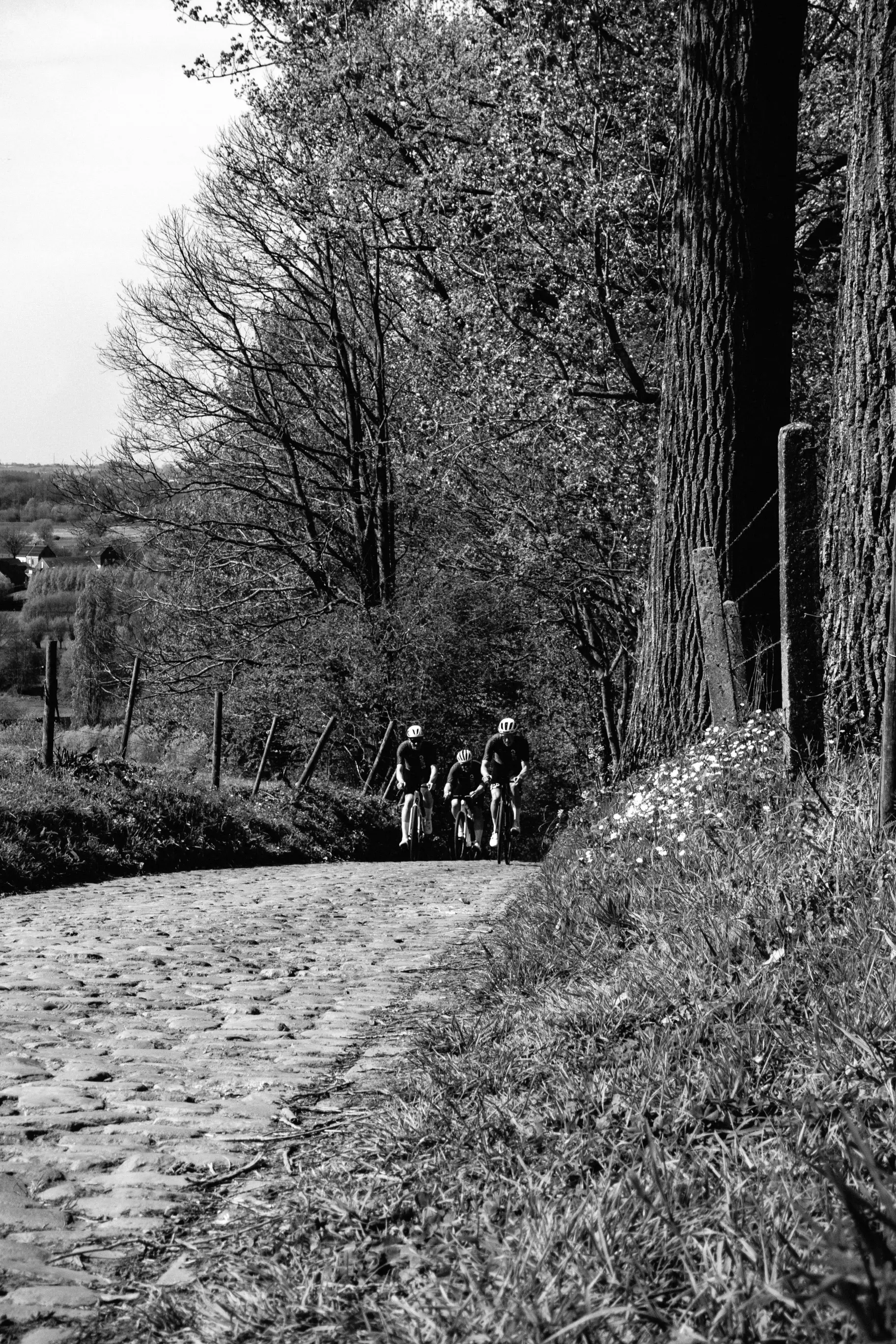 Ride-Szene zwischen Feldern in Flandern