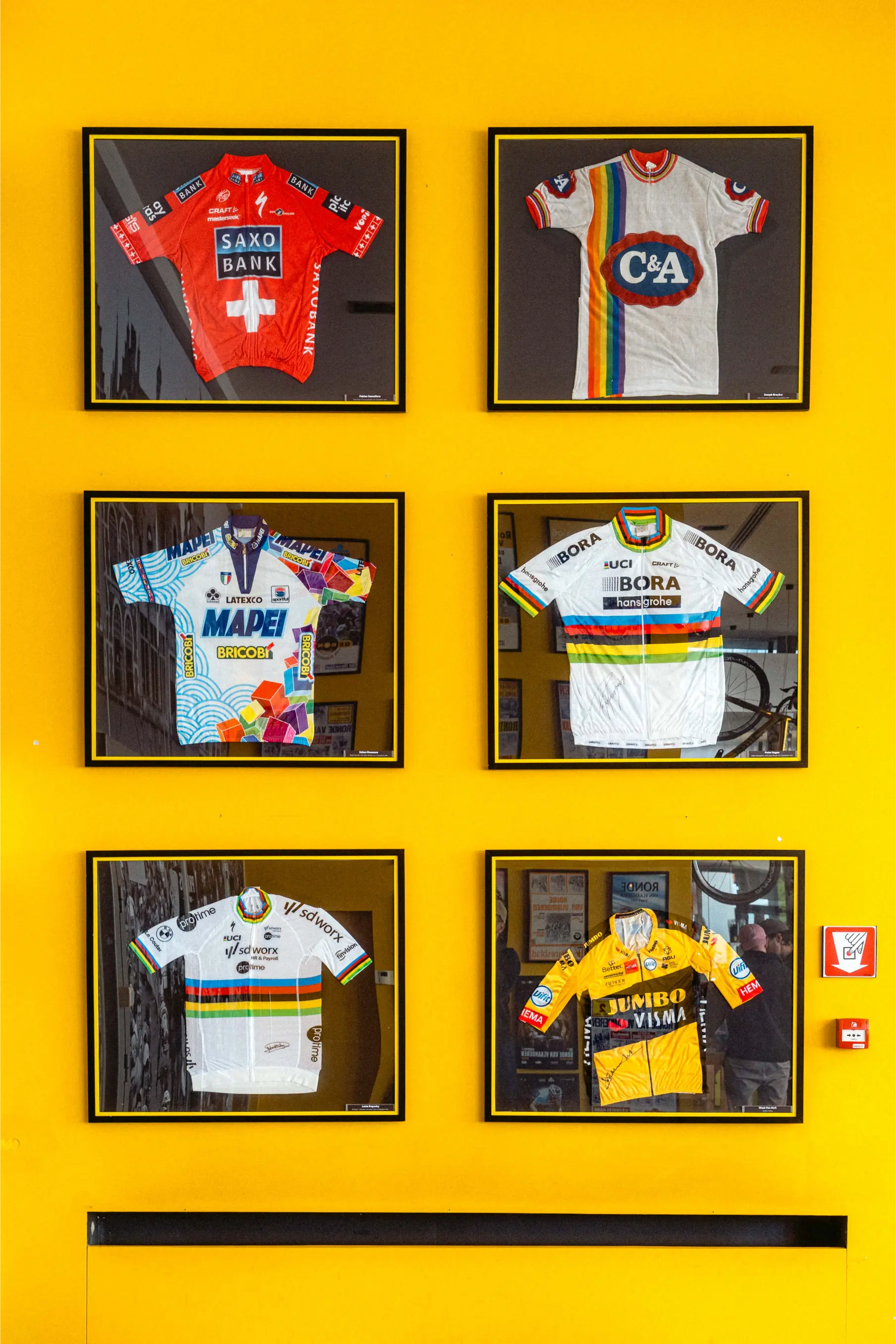 Sechs eingerahmte historische Trikots von Saxo Bank, C&A, Mapei, Bora, Jumbo-Visma vor gelber Wand